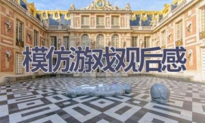 模仿游戏观后感(7篇范文）