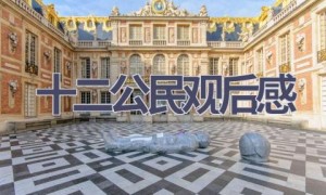 十二公民观后感(19篇范文）