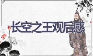 长空之王观后感(17篇范文）