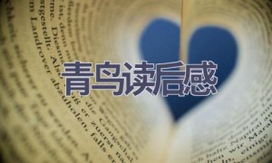 青鸟读后感(9篇范文）