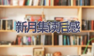 新月集读后感(11篇范文）