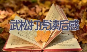 武松打虎读后感(10篇范文）