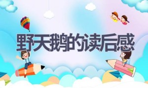 野天鹅的读后感(4篇范文）