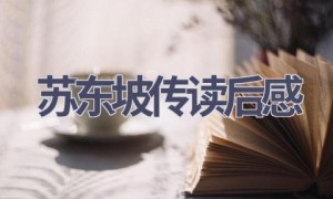 苏东坡传读后感(18篇范文）