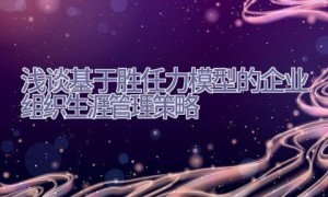 浅谈基于胜任力模型的企业组织生涯管理策略
