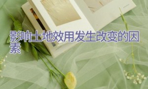 影响土地效用发生改变的因素