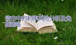 债市中的利率风险分析及免疫策略