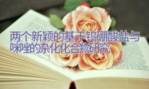两个新颖的基于钨硼酸盐与咪唑的杂化化合物研究