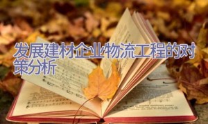 发展建材企业物流工程的对策分析