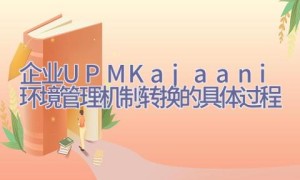 企业UPM-Kajaani环境管理机制转换的具体过程