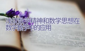 浅议数学精神和数学思想在数学教学中的应用