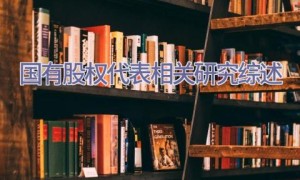 国有股权代表相关研究综述