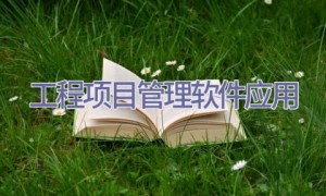 工程项目管理软件应用