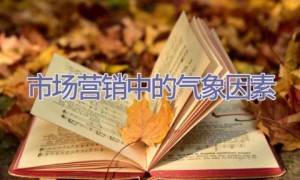 市场营销中的气象因素