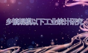 乡镇规模以下工业统计研究