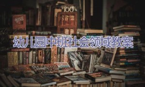 幼儿园中班社会领域教案