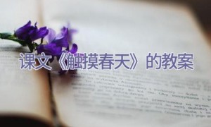 课文《触摸春天》的教案