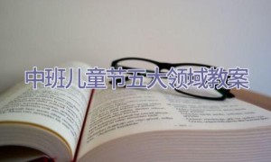 中班儿童节五大领域教案