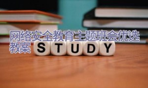 网络安全教育主题班会优选教案
