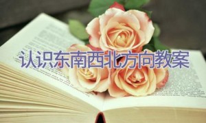 认识东南西北方向教案