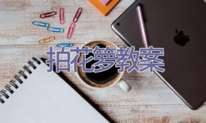 拍花箩教案