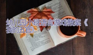 幼儿园小班语言游戏教案《我的五官》