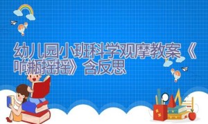 幼儿园小班科学观摩教案《响瓶摇摇》含反思