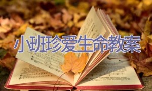 小班珍爱生命教案
