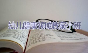 幼儿健康领域教案小班