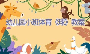 幼儿园小班体育《球》教案
