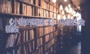 《小猫的新房子》大班社会教案