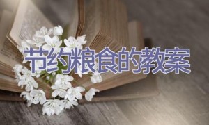 节约粮食的教案