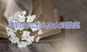 遇到危险怎么办大班教案