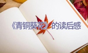 《青铜葵花》的读后感