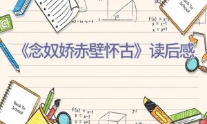 《念奴娇赤壁怀古》读后感