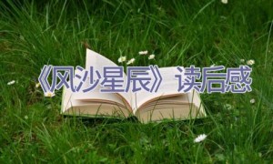 《风沙星辰》读后感
