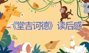 《堂吉诃德》读后感