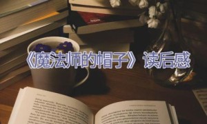《魔法师的帽子》读后感