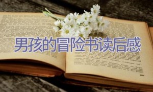 男孩的冒险书读后感