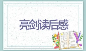 亮剑读后感