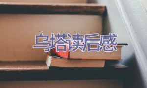 乌塔读后感