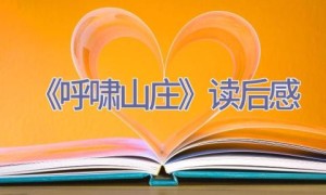 《呼啸山庄》读后感