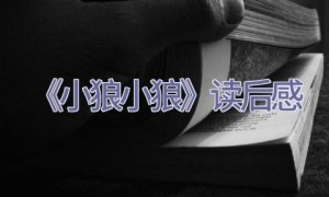 《小狼小狼》读后感