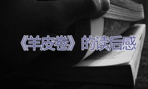《羊皮卷》的读后感