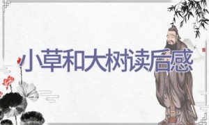 小草和大树读后感