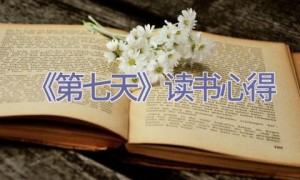 《第七天》读书心得