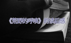 《荒野的呼唤》的读后感