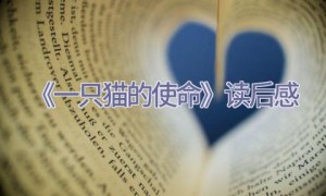 《一只猫的使命》读后感