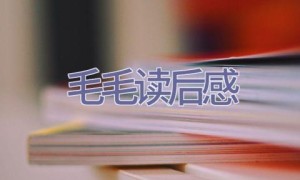 毛毛读后感