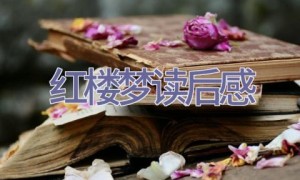 红楼梦读后感